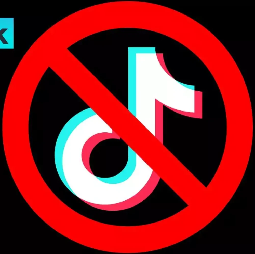 Veja os países que proibiram o TikTok