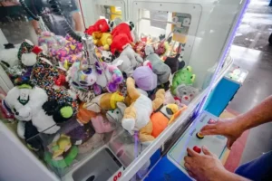 Leia mais sobre o artigo O GOLPE DA MÁQUINA DE PEGAR URSINHOS