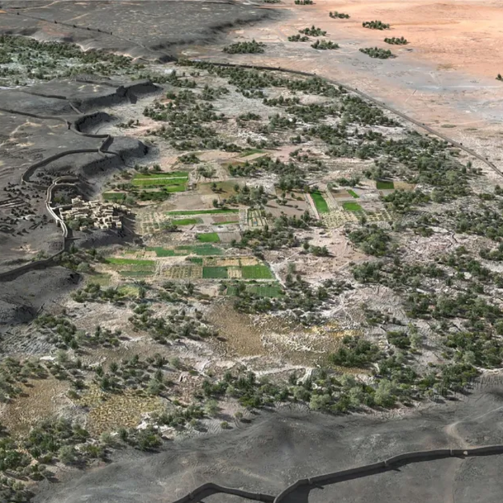 DESCOBERTA DE OÁSIS NA ARÁBIA SAUDITA